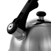 Imagen de Hervidor Mr.Coffee Claredale 2.2L